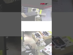 आरएम-ईजीबी इलेक्ट्रिक ग्रिपर∙ ऑटोमोबाइल उद्योग में घटकों का चयन और स्थान निरीक्षण